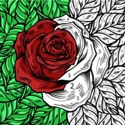 Color by Number: Coloring Book - Intelligent APK Download