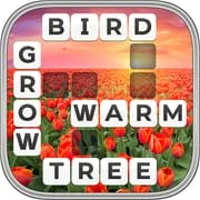 Word Wiz - Connect Words Game - Intelligent APK Download