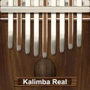 Kalimba Real - Intelligent APK Download