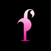 Flamingo - Intelligent APK Download