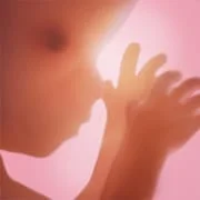 Pregnancy + | Tracker App - Intelligent APK Download
