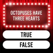 Trivia Quiz: Super Trivia Game - Intelligent APK Download