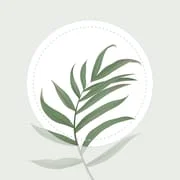 Blossom - Plant Identifier - Intelligent APK Download