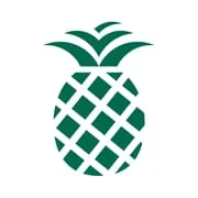 PineApp - Intelligent APK Download