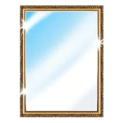 Phone Mirror app - True Mirror - Intelligent APK Download