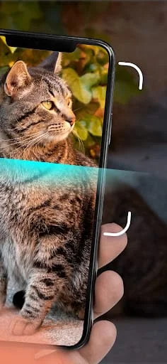Cat Identifier - Cat Scanner Screenshot 2