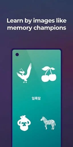 Learn Korean language & Hangul Screenshot 3