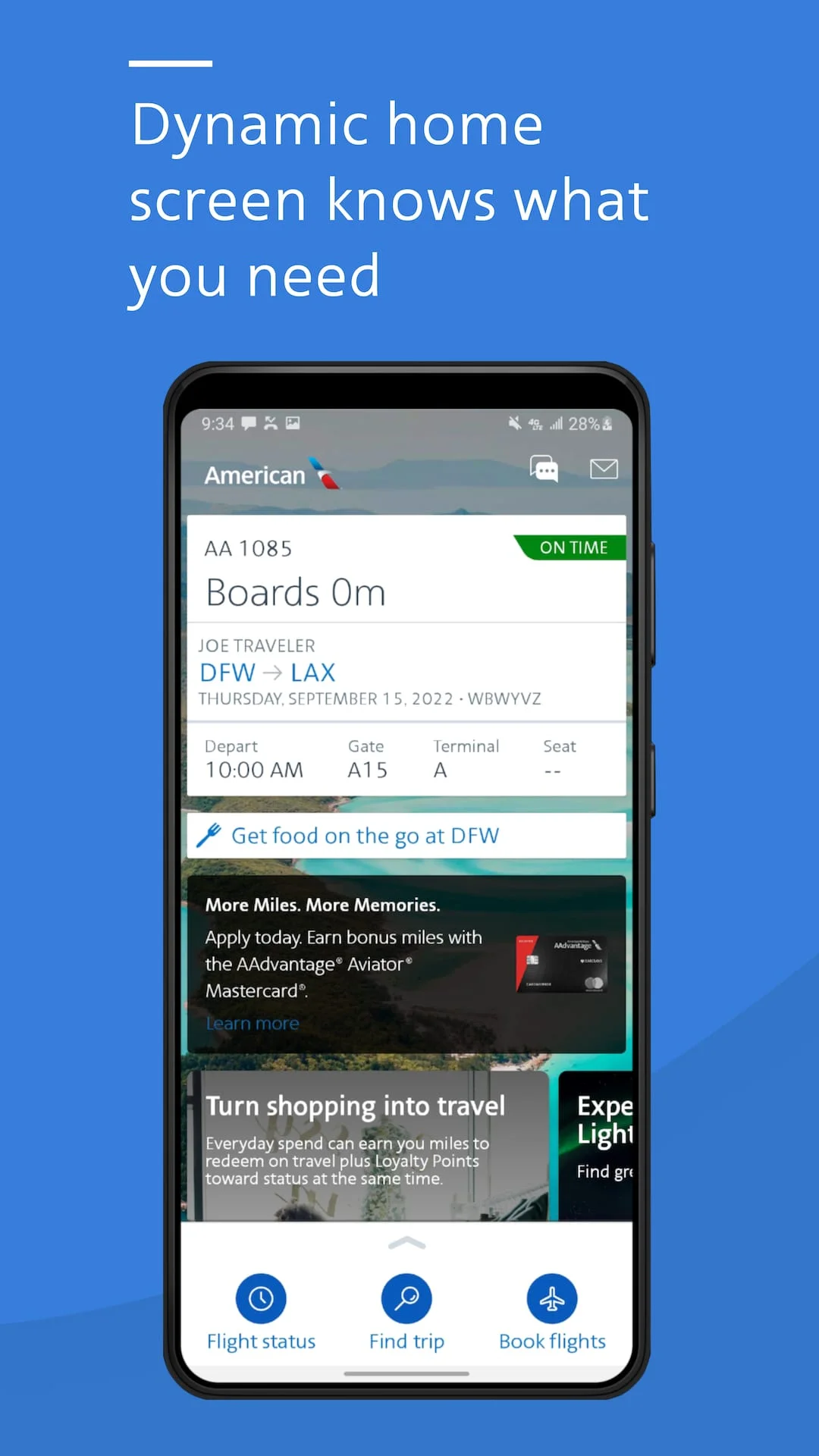 American Airlines Screenshot 1