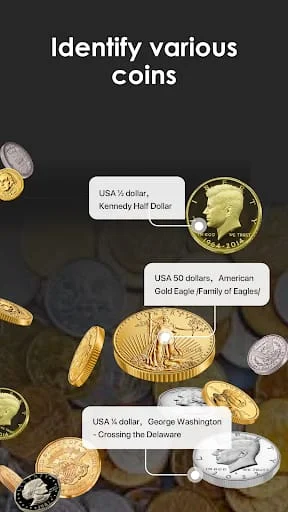 iCoin - Identify Coins Value Screenshot 1