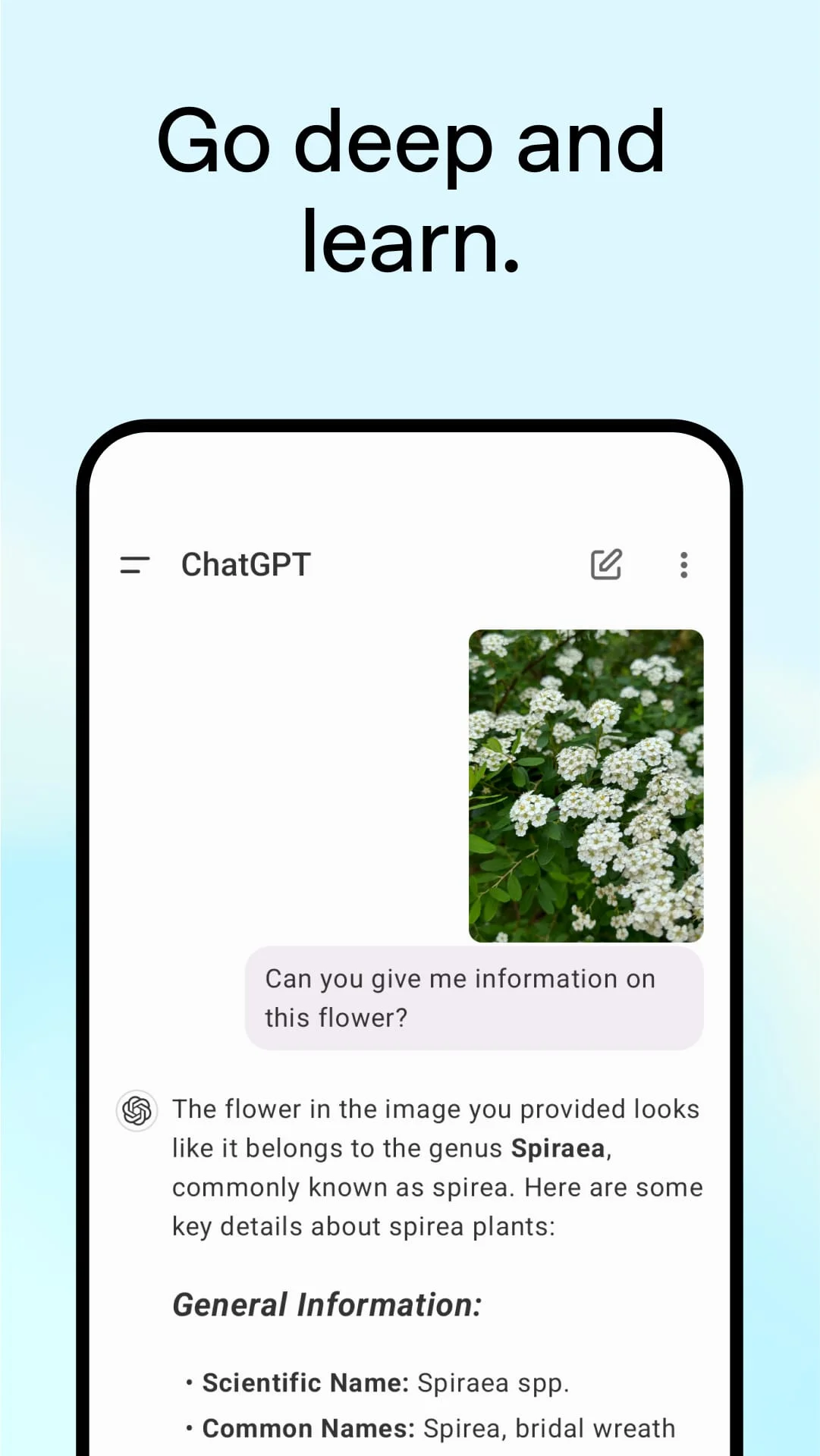 ChatGPT Screenshot 4