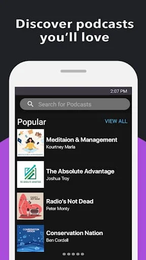Podcasts Home Screenshot 3