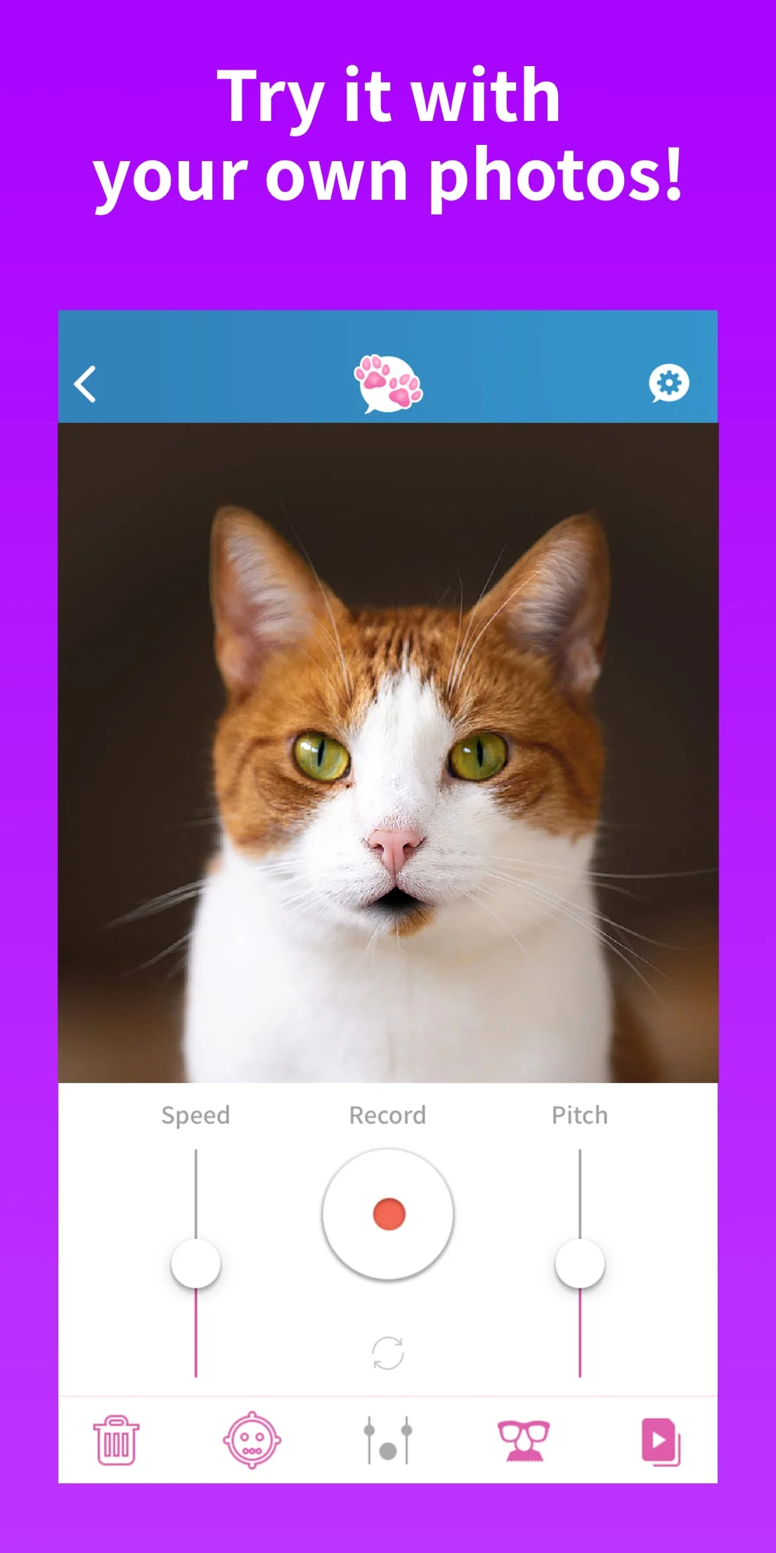 My Talking Pet Screenshot 1