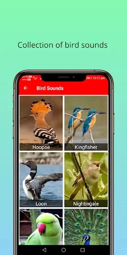150 Animal Sounds Screenshot 3