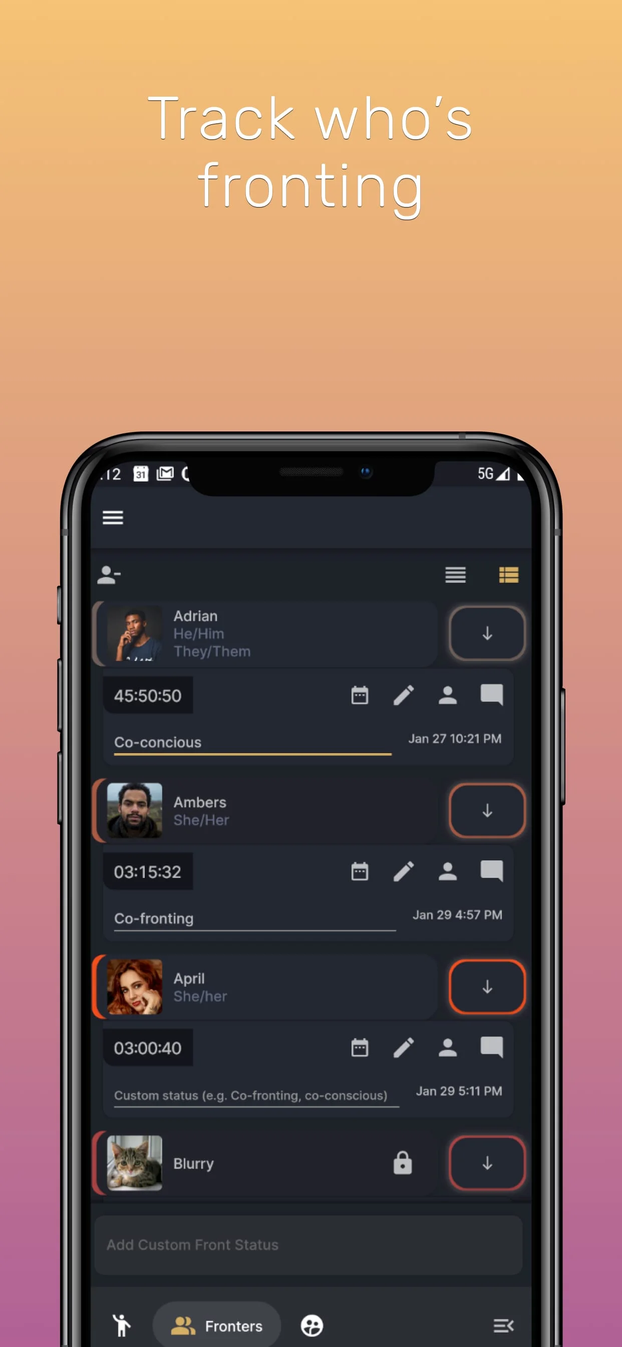 Simply Plural Screenshot 1