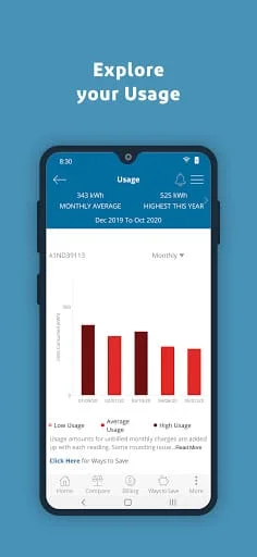 City Utilities – My Account Screenshot 4