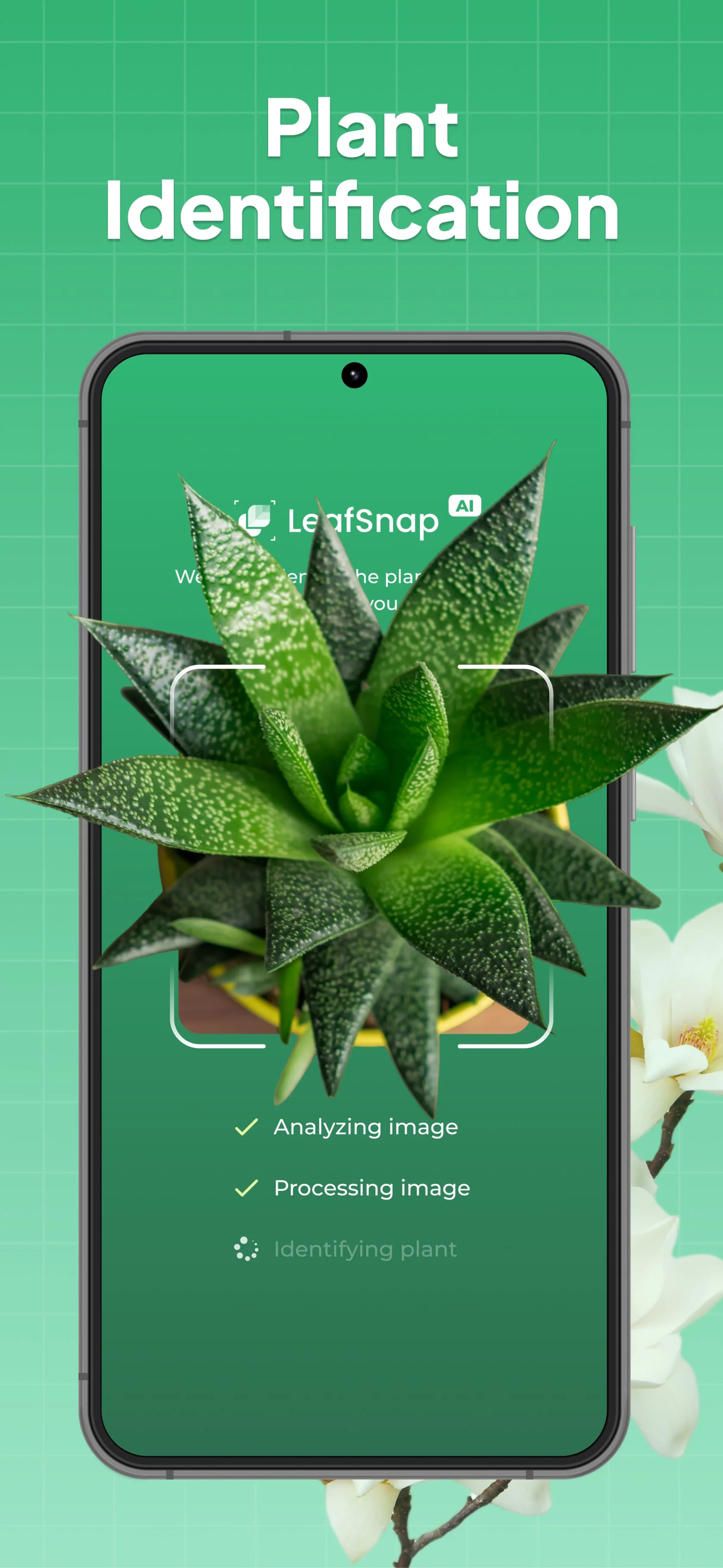 LeafSnap Plant Identification Screenshot 1