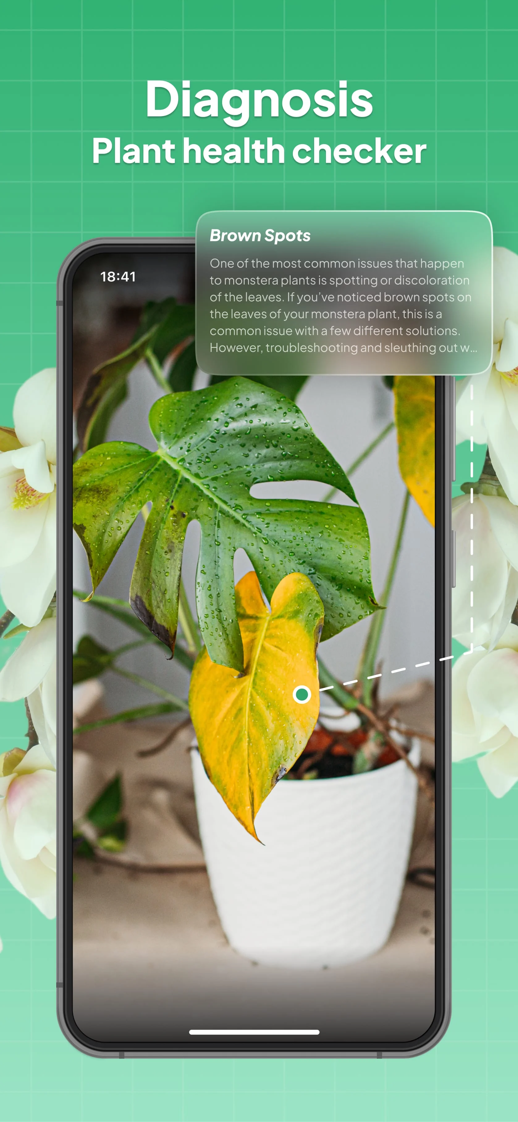 LeafSnap Plant Identification Screenshot 3
