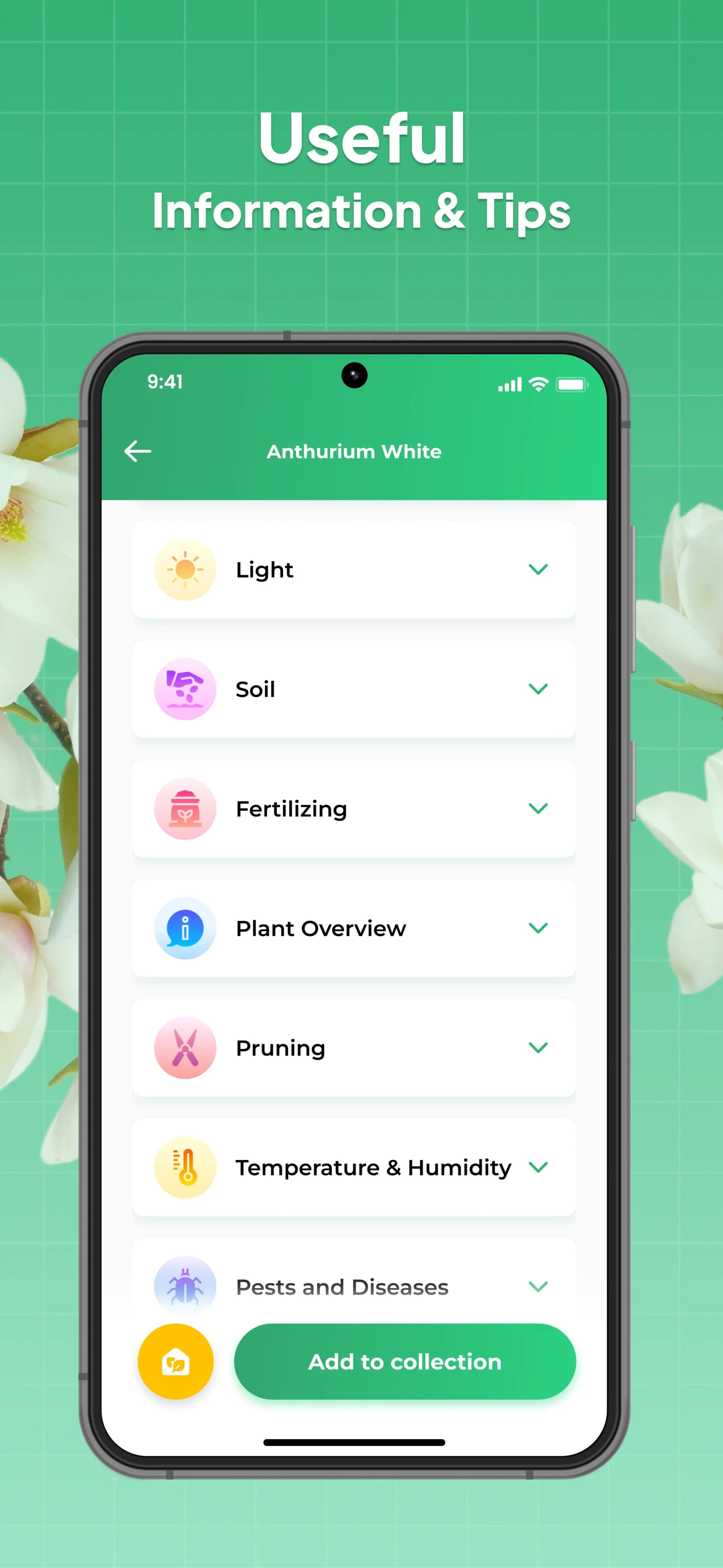 LeafSnap Plant Identification Screenshot 4