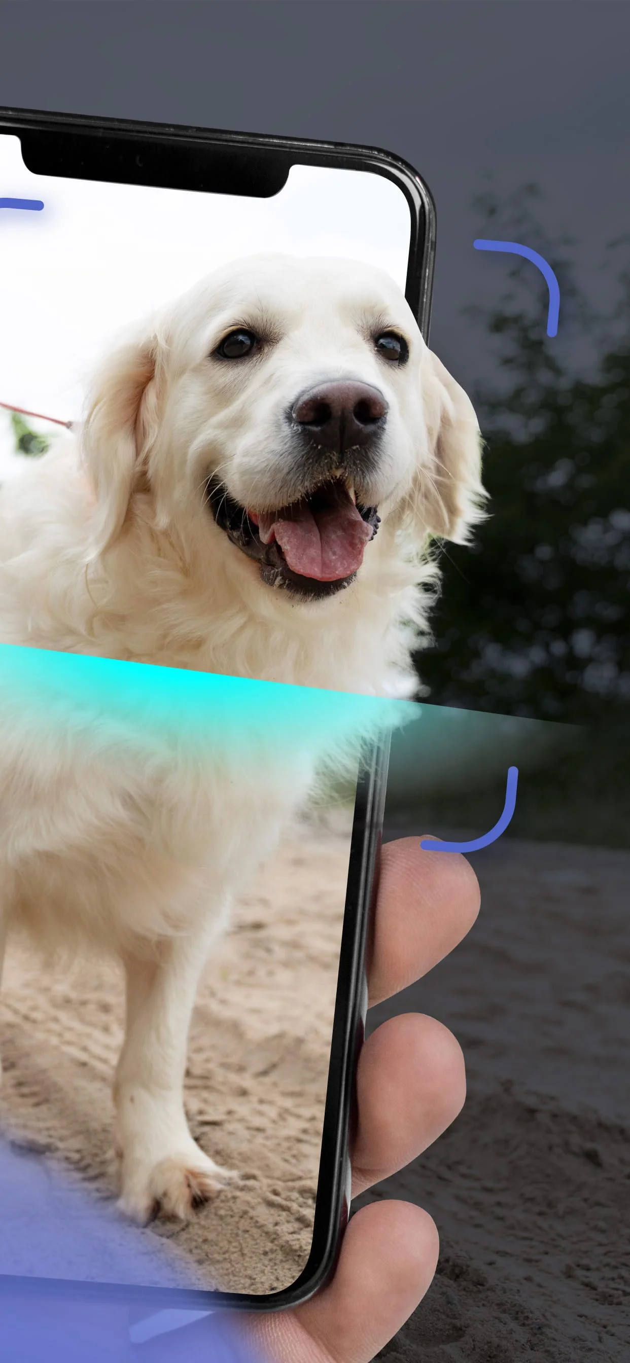Dog Scanner: Breed Identifier Screenshot 2