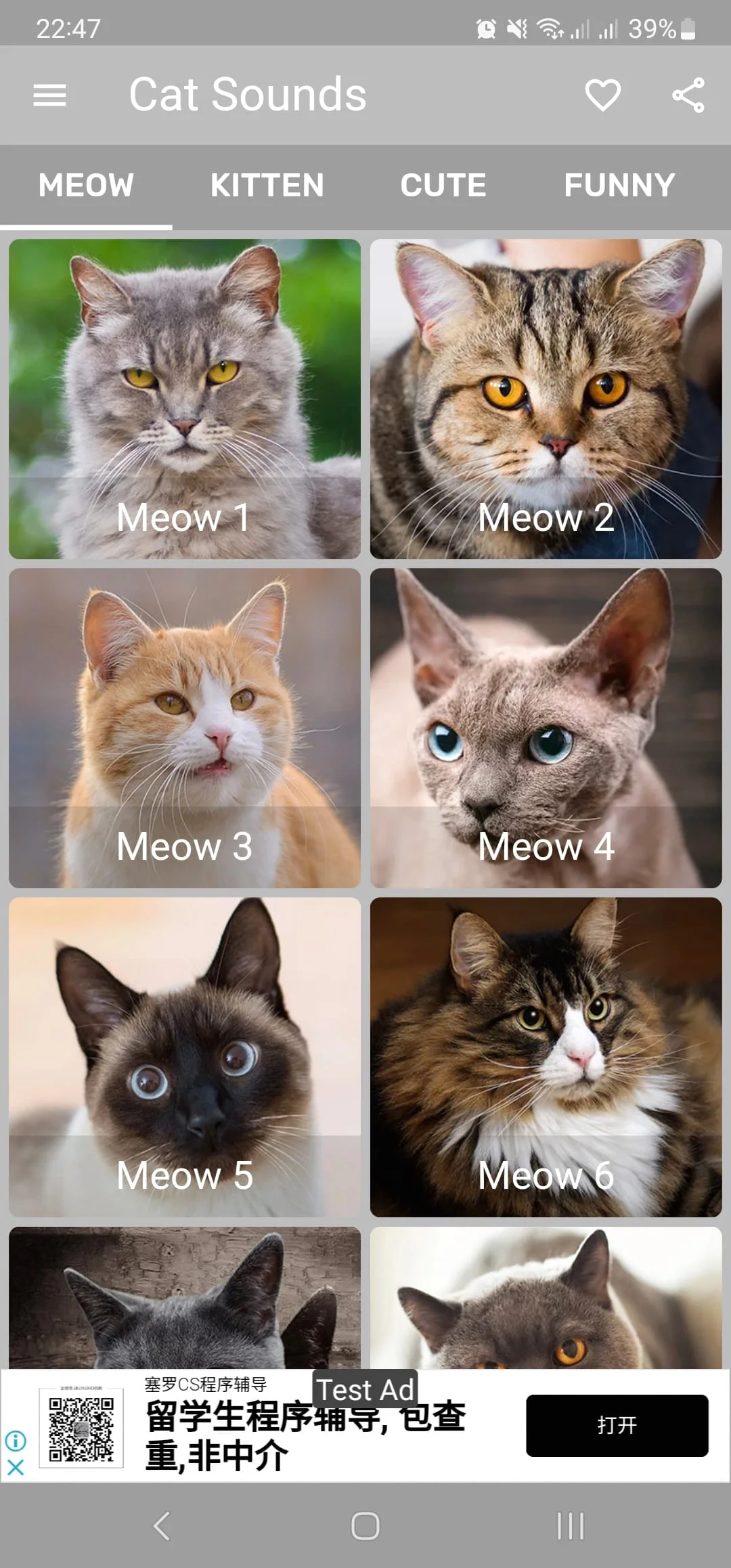 Cat Sounds - Meow Noises Screenshot 1