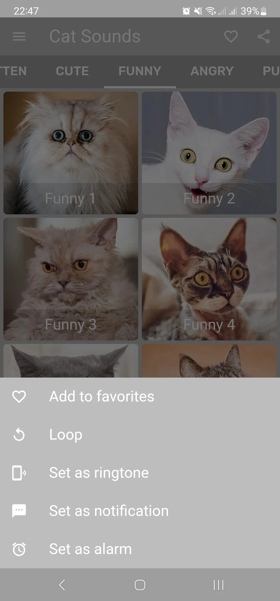 Cat Sounds - Meow Noises Screenshot 3