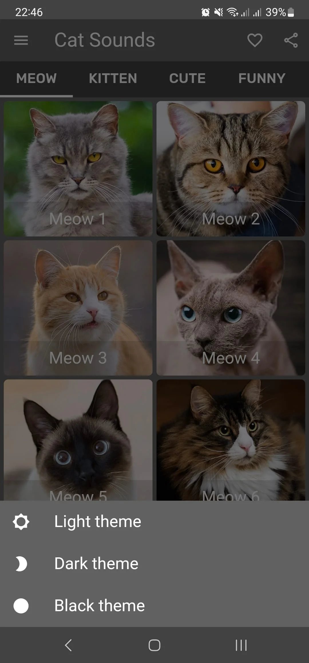 Cat Sounds - Meow Noises Screenshot 4