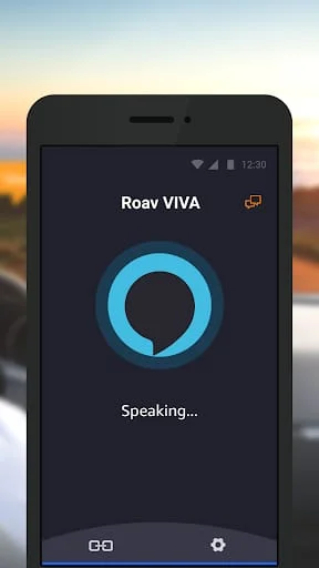 Roav VIVA Screenshot 2