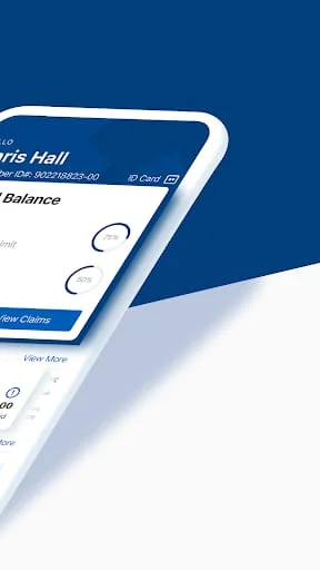 BCBSTN Screenshot 2