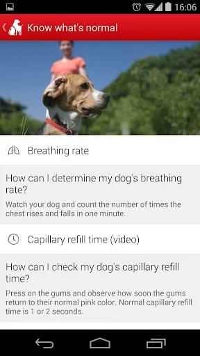 Pet First Aid Screenshot 2