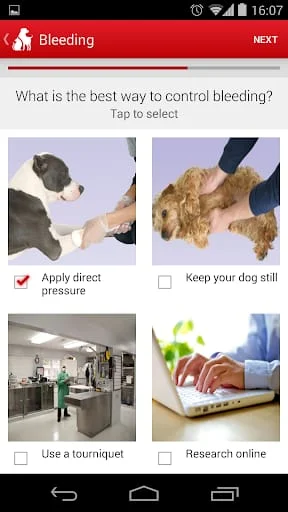 Pet First Aid Screenshot 3