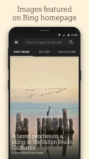 Bing Wallpapers Screenshot 1