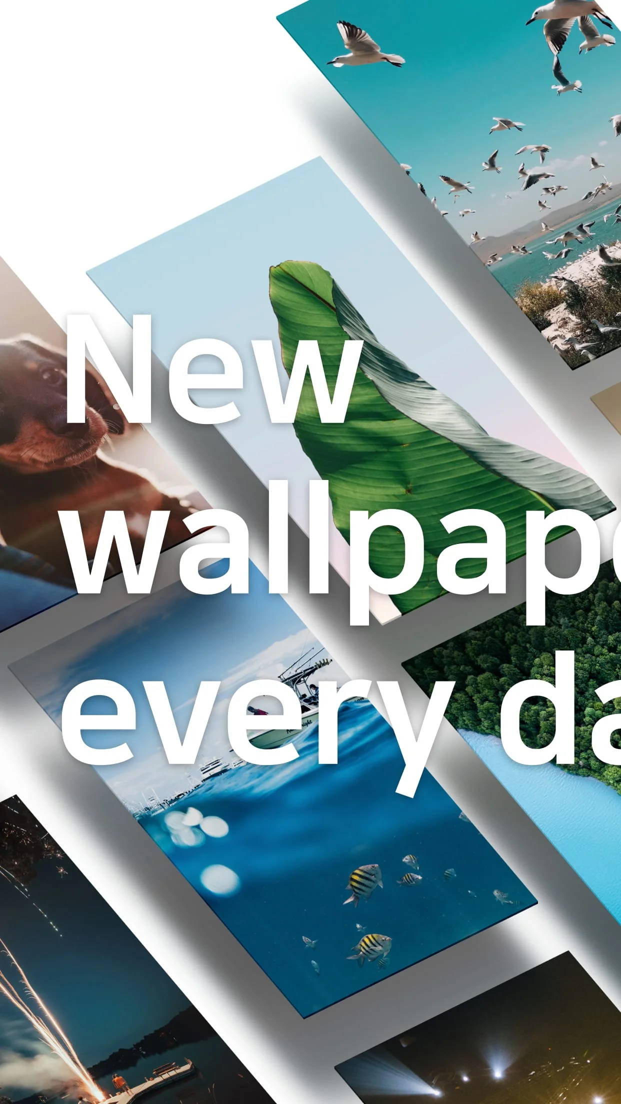 Backgrounds HD (Wallpapers) Screenshot 1
