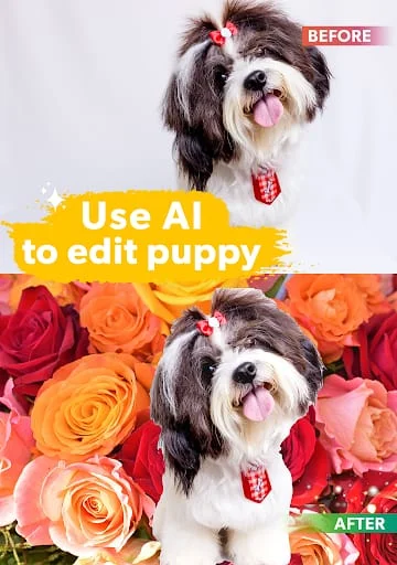 Dog Photo Editor Screenshot 4