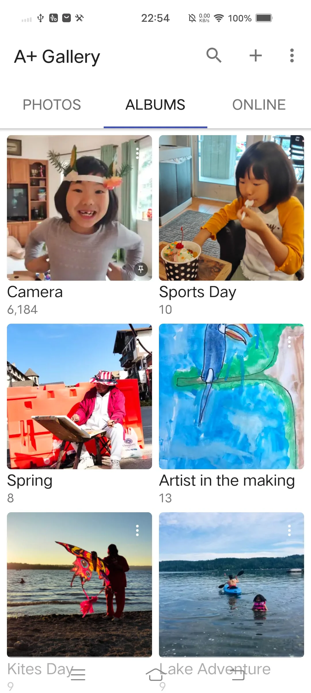 A+ Gallery - Photos & Videos Screenshot 1