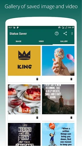 Story & Status Saver App Screenshot 2