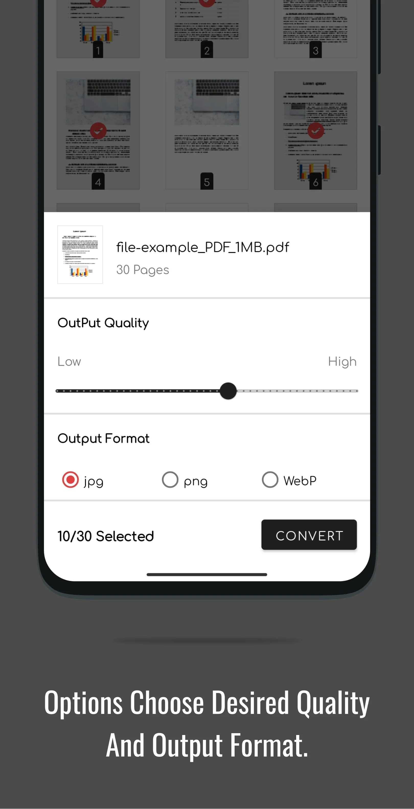 PDF to JPG Converter Screenshot 4