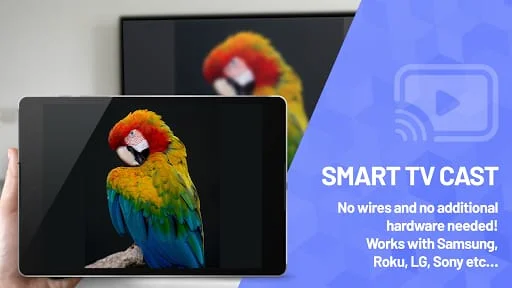 Smart TV Cast Screen Mirroring Screenshot 4