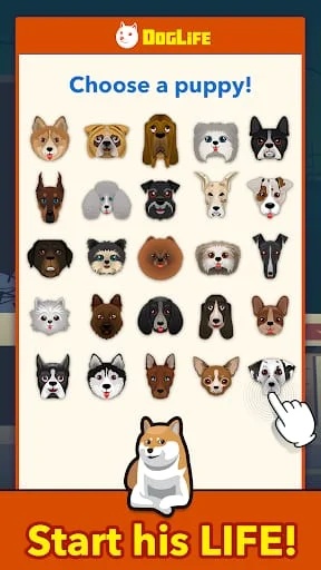 BitLife Dogs – DogLife Screenshot 1